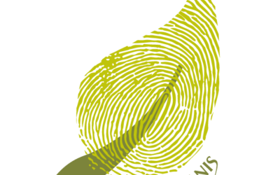 Les paniers d’Aïoli